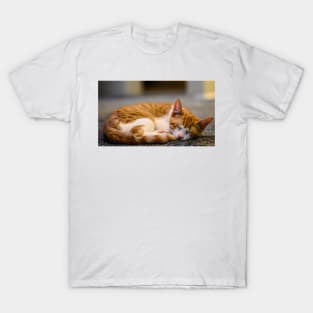 Ginger Kitty. Asleep T-Shirt